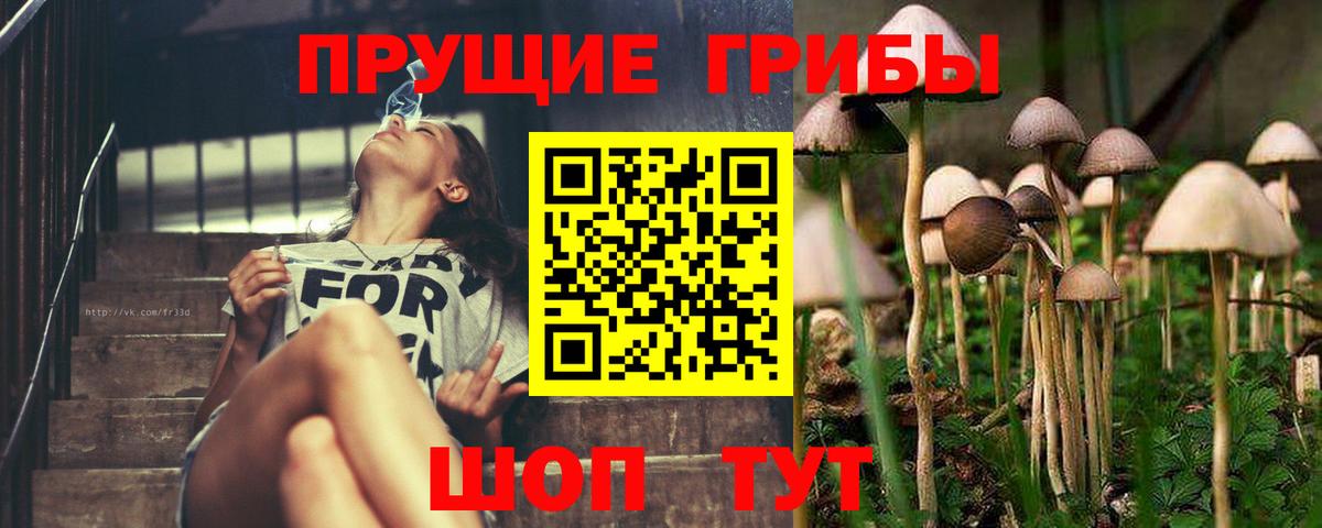 Соликамск  Галлюциногенные грибы мухоморы  Вход с VPN 